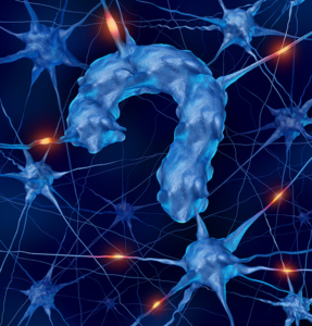 Neurology Questions